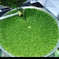 انواع سبزیجات آماده