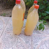 آبغوره بینمک با نمکی و سرکه سیب