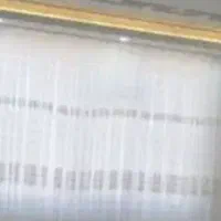 پرده درحدنو