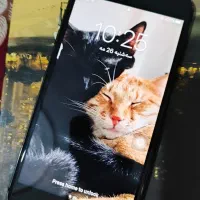 آیفون سون پلاس