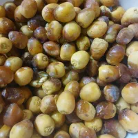 خرمای برحی کیلوی ۲۵۰تومان کلی روزانه