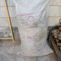 کود بلدرچین