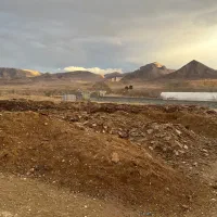 فروش کود گوسفندی