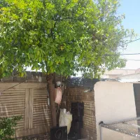 خانه|فروش خانه و ویلا|ایذه, |دیوار