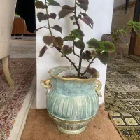 گلدون پتینه