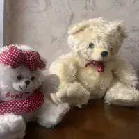 دو عدد عروسک پولیشی
