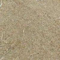 فروش جو محلی
