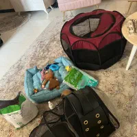 وسایل کامل نگهداری سگ