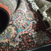 فرش ها سالم سالم نخ اصل