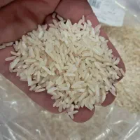 برنج هاشمی محلی به شرط پخت