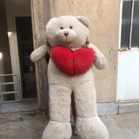 عروسک خرسی سایزخیلی بزرگ