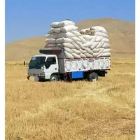 کاه درجه یک بازار