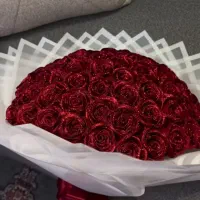 رز روبانی