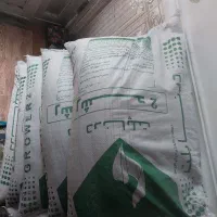 دان پارس