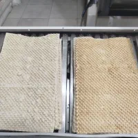 شاطر لواش جویای کار