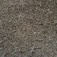 جو ۸ تن دیمه