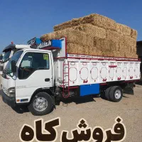 فروش کاه دیم،تمام ایران