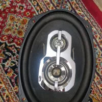 باند پایونیر ۶۹۷۵