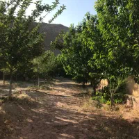 خونه باغ