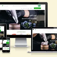 طراحی و پشتیبانی انواع فروشگاه اینترنتی + سئو