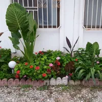 سوئیت اجاره