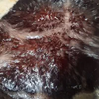 شربت نعناع وسکنجبین