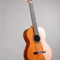 تدریس خصوصی گیتار