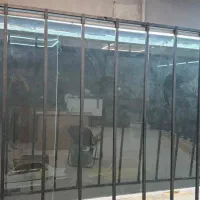 رگال مناسب کفش