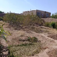 550متر-زمین-باغی