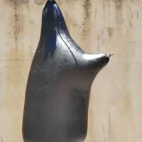 هیزه گوسفندی