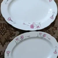 دیس گل میخک
