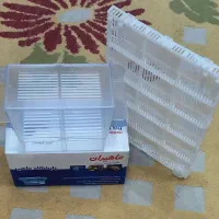 زایشگاه ماهی