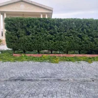 هرسکاری تخصصی بادستگاه ،سم پاشی،علف تراشی بادستگاه