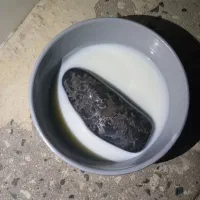 شهاب سنگ مریخی