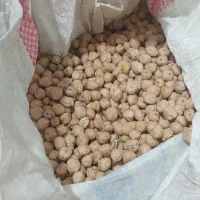 نخود زود پز کرمانشاهی اصل امساله