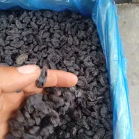 پخش مویز ازبکستان(کشمش سیاه بدون هسته)