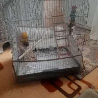 قفس بزرگ با وسایل