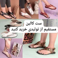 حراج انواع صندل در فروشگاه کالین در شهر رامهرمز