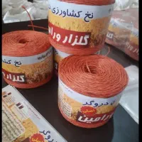 نخخ