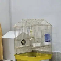 قفس پرنده