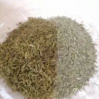 سبزی مرزه معطر