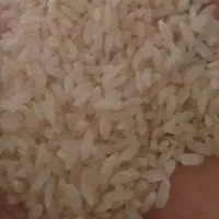 برنج چمپای لردگان درجه یک