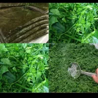 سبزی اب پز شده فروش فوری