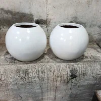 گلدون فایبرگلس