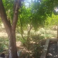 فروش-خونه-باغ-3000-متری-مرکز-شهر