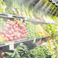 نیازمند شریک جهت راه اندازی میوه فروشی