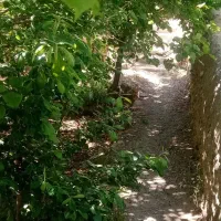 باغ-بابتنگل-بالاتراز-آبشار-باآب-وجوی-دائم