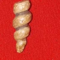 مهره قدیم
