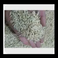 جو محلی درجه یک