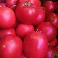 میوه و تره بار سید ( شهرری)